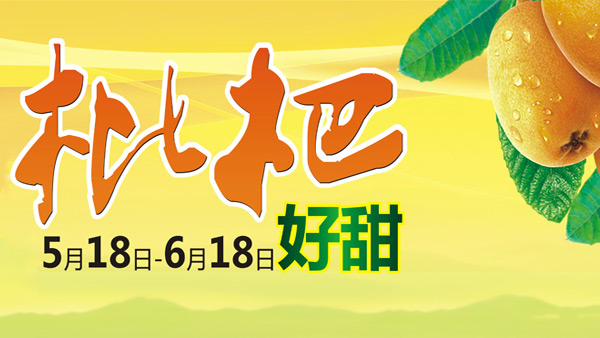 丹棱桔橙琵琶產(chǎn)品宣傳廣告設計