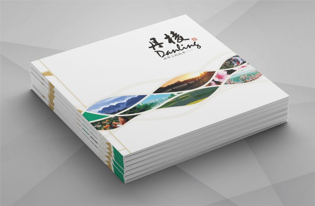 丹棱縣城市形象宣傳畫冊設計